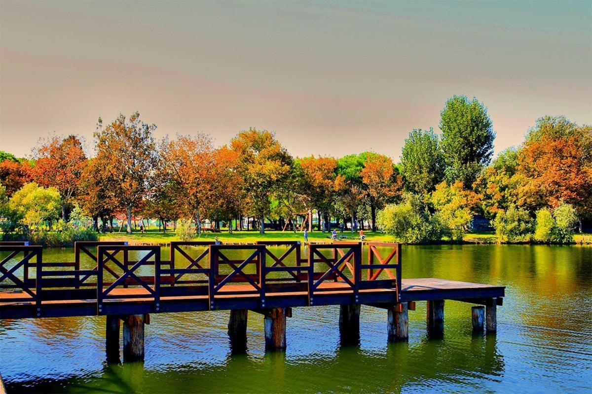 Hotel Adriatico Белларія-Іджеа-Марина Екстер'єр фото
